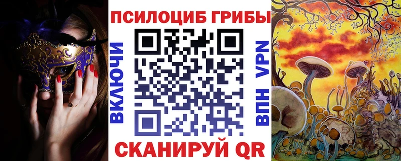 Галлюциногенные грибы Magic Shrooms  Купить закладки  Порхов 